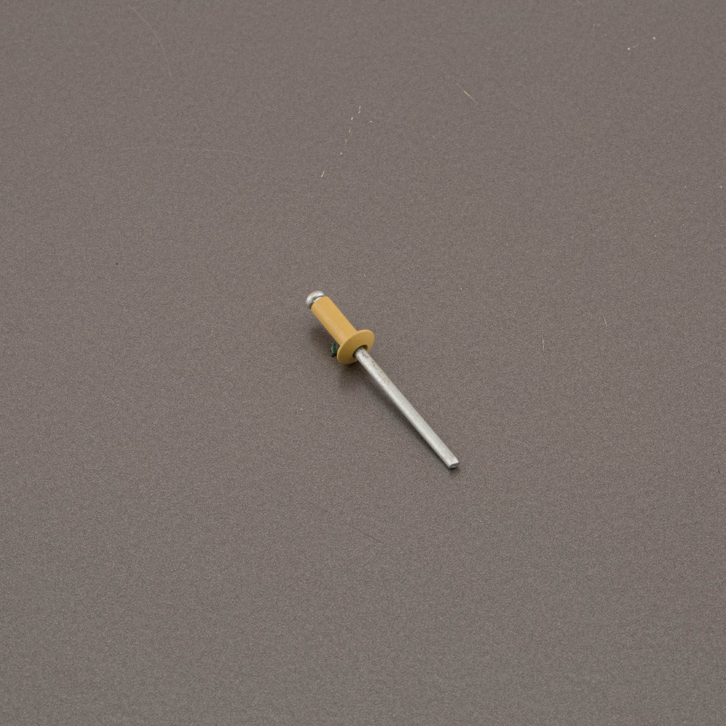 1002 colour rivets