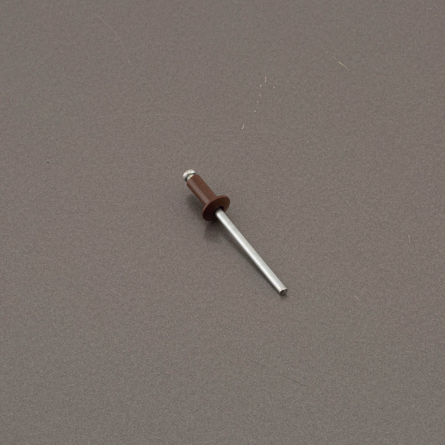 8016 colour rivets